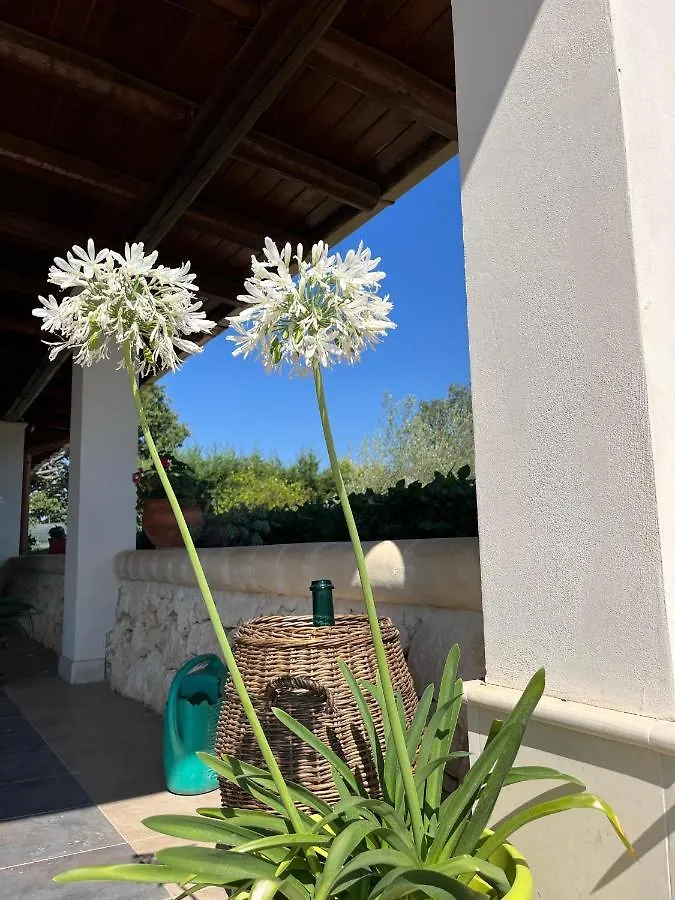 Villa Mira Etna Melilli Italy